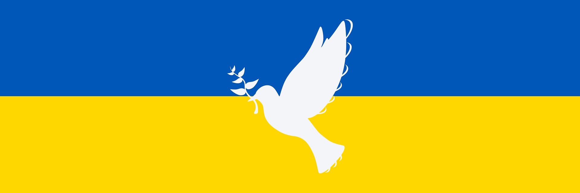 Wsparcie Ukrainy